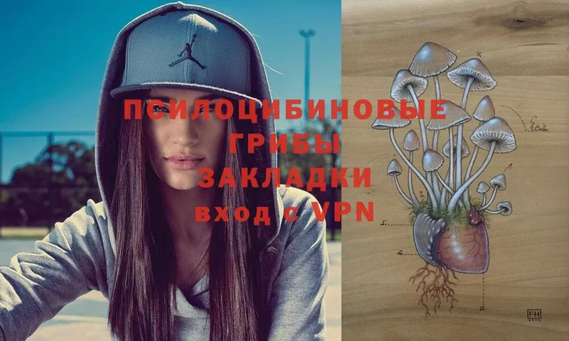 Псилоцибиновые грибы MAGIC MUSHROOMS  хочу наркоту  гидра как зайти  Калач 